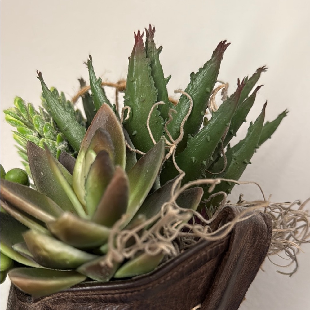 Rustic Authentic Brown Boot Planter with Green Succulents; Homemade by me! - Picture 5 of 6